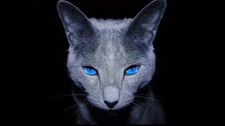 Download lagu Blues Underground The Thrill Is Gone | Relaxing Blues & Rock Music 2018 | HiFi (4K) mp3