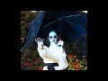 Never Enough by Allie X