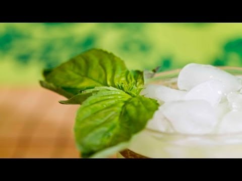 Monstre Verte Cocktail - Raising the Bar with Jamie Boudreau - Small Screen