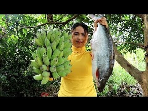 Awesome Cooking Big Pangasius & Eggs Fish With Fresh Banana Fruit Recipe   Village Food Factory 720p
