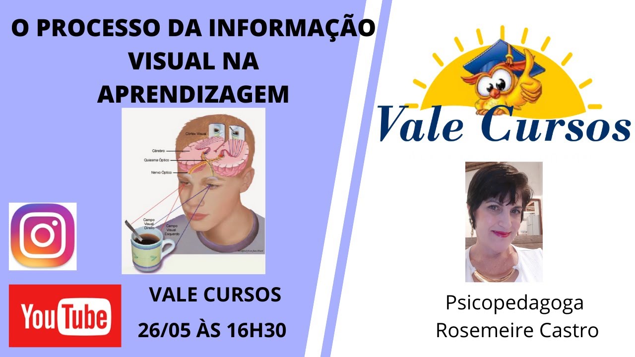 O processamento visual na aprendizagem