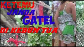 Download lagu KELILING KEBUN TUA & TANAH KUBURAN ‼️ TAK DI SANGKA KETEMU JANDA GATEL mp3