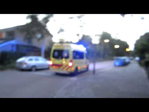 A1 20-103 Boomgaard 22 Halsteren