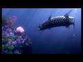 Finding Nemo Horror Trailer