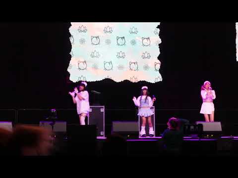 CRASH LANDING live performance by Starlight Maid & Butler Café