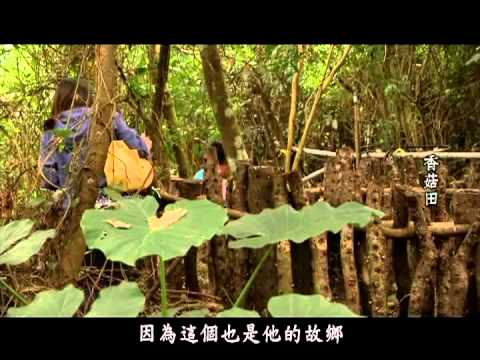 我選擇回鄉-宜蘭縣南澳鄉金岳社區陳芃伶 台語