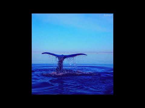 Hansiii - Whales