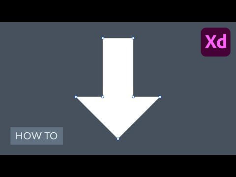 Adobe XD for Beginners FREE COURSE