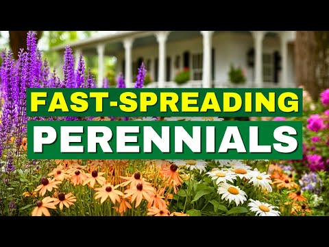 Top 10 Fast-Spreading Perennials | Full Season Color Made EASY! 😍