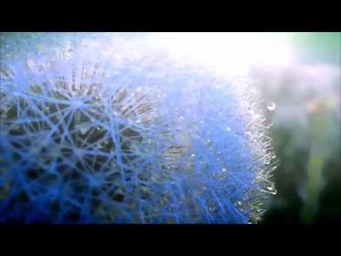 Stasa Mirkovic Grujic - Camille Saint-Saëns, Fantaisie for solo harp op.95