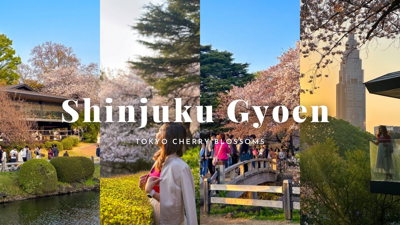 Explore the marvel of Shinjuku Gyoen National Garden through the lens of a tourist.