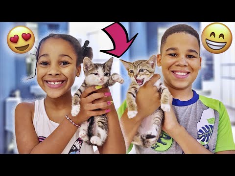 Cali & Kameiro MEET THE KITTENS for the FIRST TIME ❤️ | FamousTubeFamily