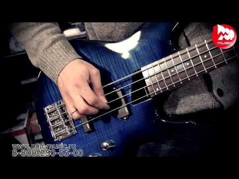 Обзор бас-гитары LTD B-50