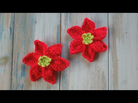 download lagu mp3 mp4 Mini Poinsettia, download lagu Mini Poinsettia gratis, unduh video klip Mini Poinsettia