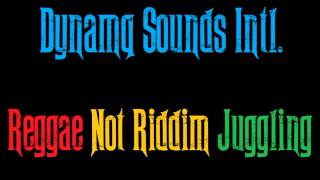 Dynamq Sounds Intl - Reggae Not Riddim Juggling