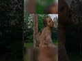 Rick Releases Walker To Eat Savior | The Walking Dead #shorts