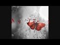 Nino D'Angelo-Chesta sera+Testo