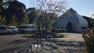 黄柳野高校クイズ　開校記念樹は？　解答編