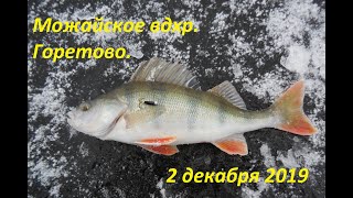 Отчет о рыбалке с можайского водохранилища