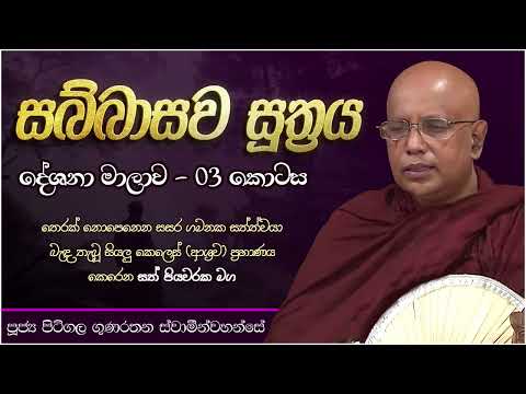 සබ්බාසව සූත්‍ර දේශනා මාලාව 03 - Sabbasawa Sutta 03 | Ven. Pitigala Gunaratana Thero