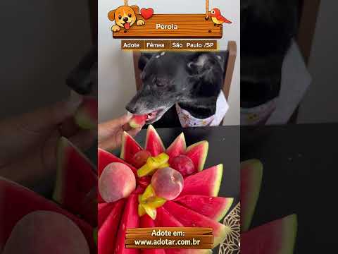 Vídeo de Pérola 