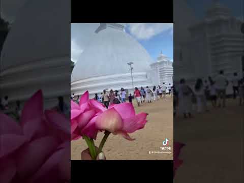 #treanding #temple #5000subcribe #5000subcriber #beautiful 🙏🏻🙏🏻❤️