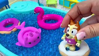 Bluey Dia de Piscina! 🏖️ Diversão na Água em Português