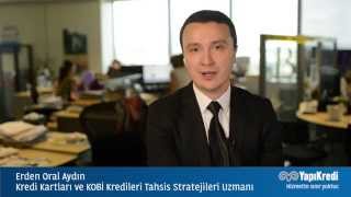 Erden Oral Aydın - Kredi Kartları ve KOBİ Kredileri Tahsis Stratejiler