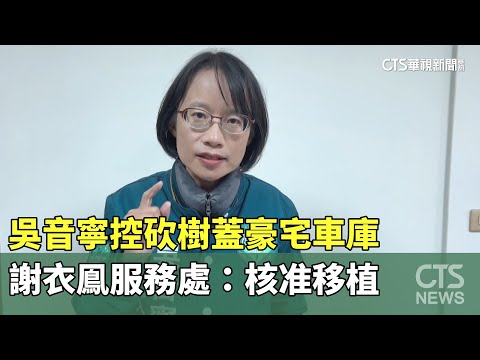 吳音寧控砍樹蓋豪宅車庫　謝衣鳯服務處：核准移植