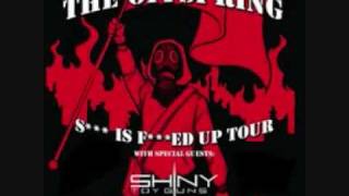 The Offspring Stuff Is Messed Up