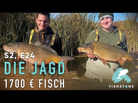 S2E24 - Kopfgeld Karpfen - FISHSTONE's Angelwelten