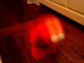 Laughin Elmo