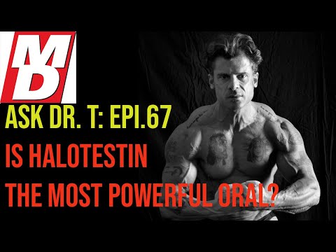 Is Halotestin the most powerful oral? ASK DR  TESTOSTERONE   EPISODE 67