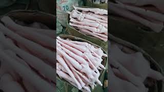 Download lagu Three thousand beauties in the harem, Barbie doll production base mp3