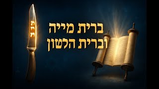 🔶🔶🔶 בריתות ביהדות - תובנות הגר