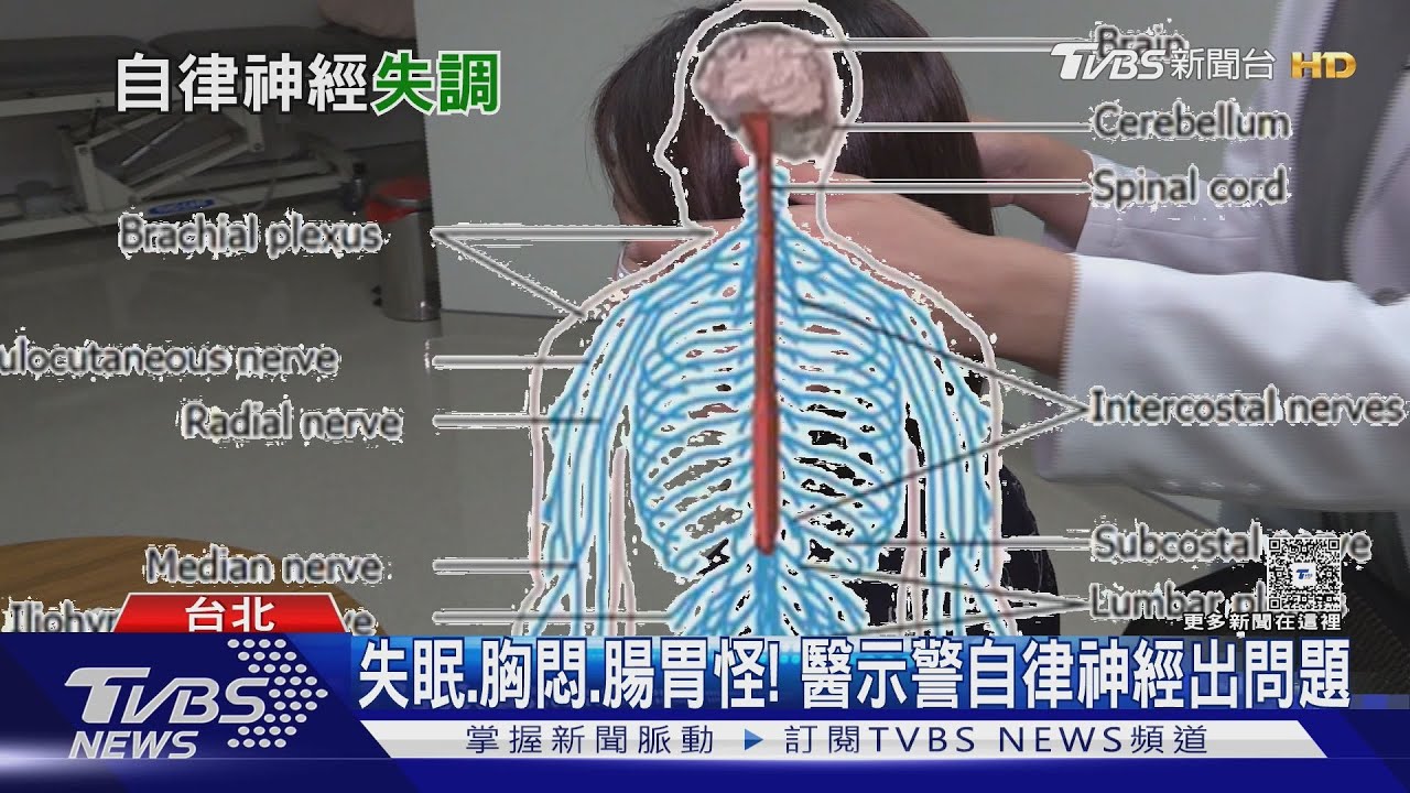 失眠.心悸.頭暈找不到原因？醫師：出現「這狀況」　你的身體在求救！