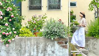Download lagu Filling my home with what I love 🌿 Early summer gardening & antique haul vlog mp3