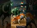 Fierce Competition Between Indian Cow And Pakistani Cow Ai Cow Pakistani India Shorts