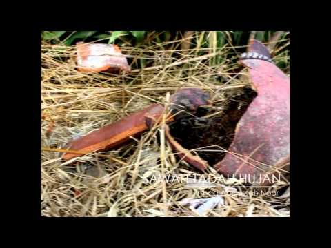 Semoga Kemarau berganti Hujan