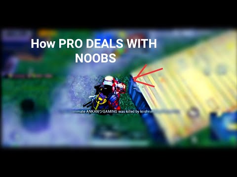 How PRO DEALS WITH nOObs