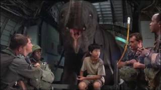 Operation Dumbo Drop (1995) Video