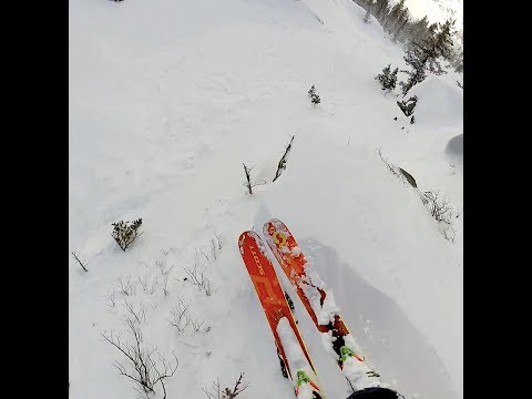 Big Line in Jackson Hole, WY on Feb 16th, 2019