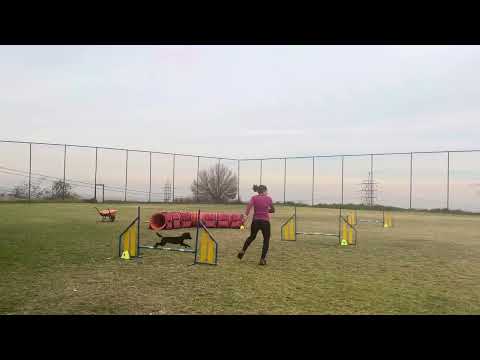 Frizz Jumping 8-06-2024