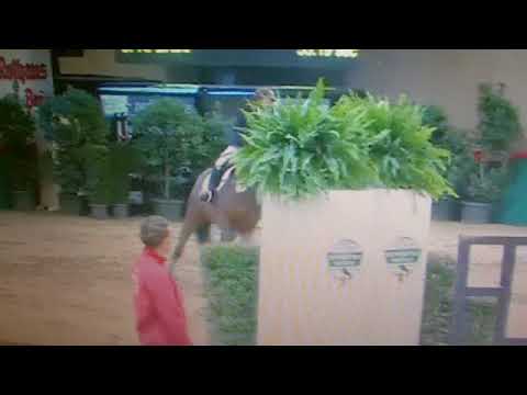 Kaja Celine Hofmeister - Barolo NT