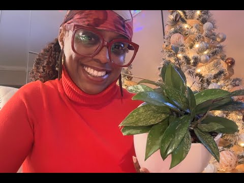 🪴 🛒 💚 Plant Shopping Around Brooklyn!!! 💚🛒🪴