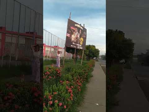 conociendo Guamal-Magdalena