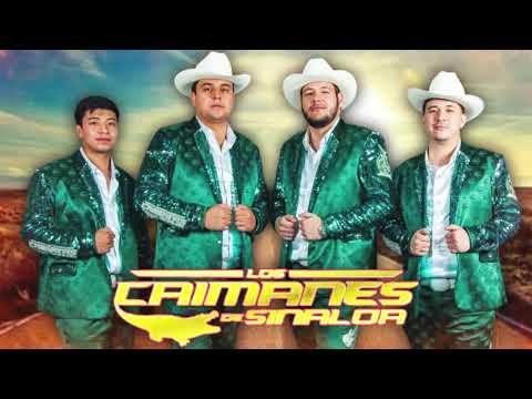 Los Caimanes De Sinaloa - Puros Corridos Mix