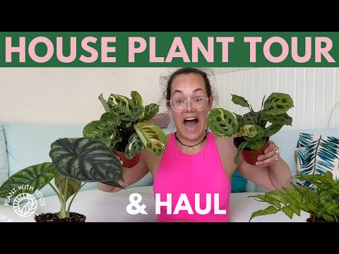 House Plant Tour and Haul from Global Garden | Plant with Roos