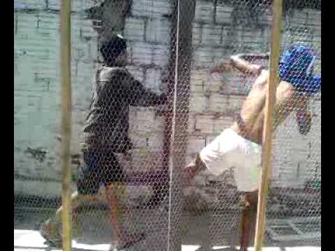 Luta na Jaula (Part 2)