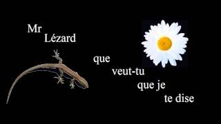 Mr lezard que veut tu que je te dise